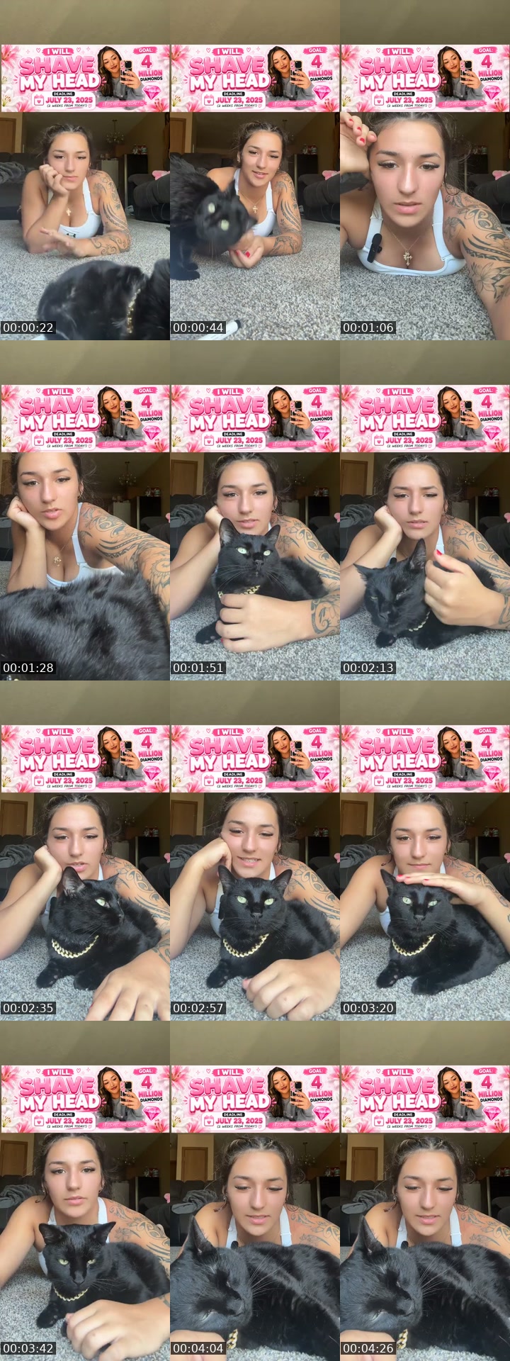 TikTok live: Shaving my head! by @caoimhedoylee