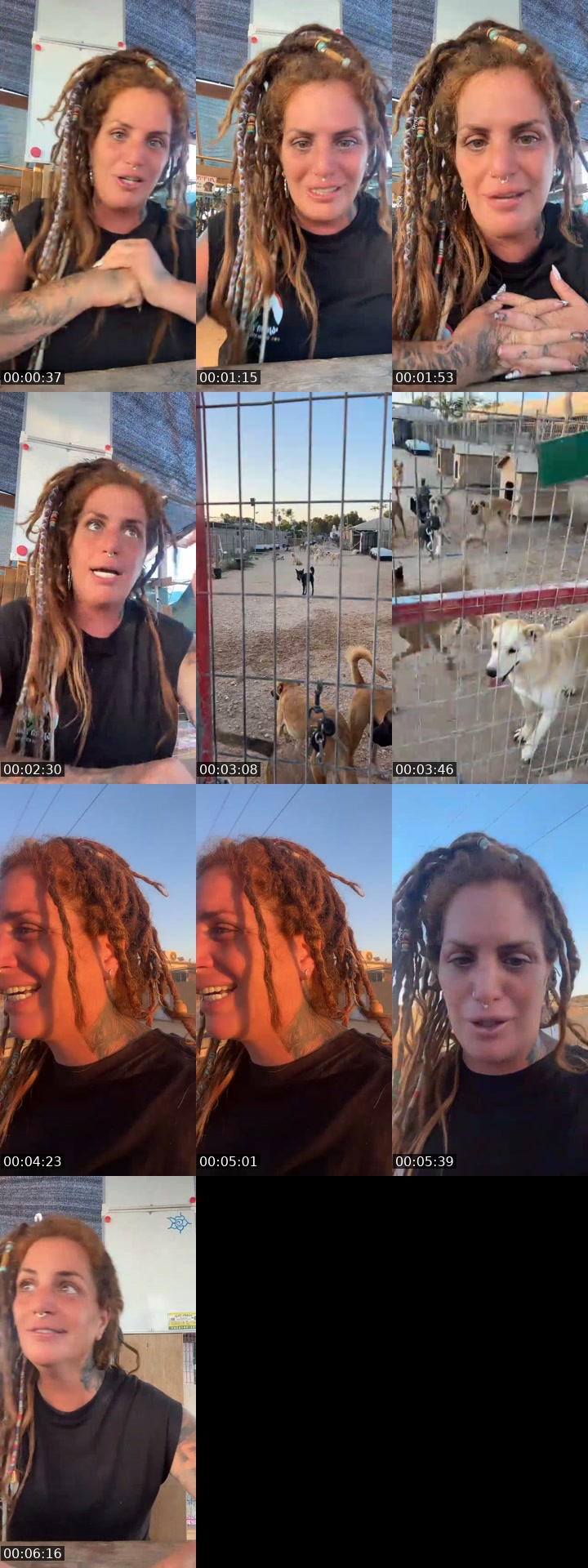 @shanti.farm.rescue TikTok live from 2026-07-14