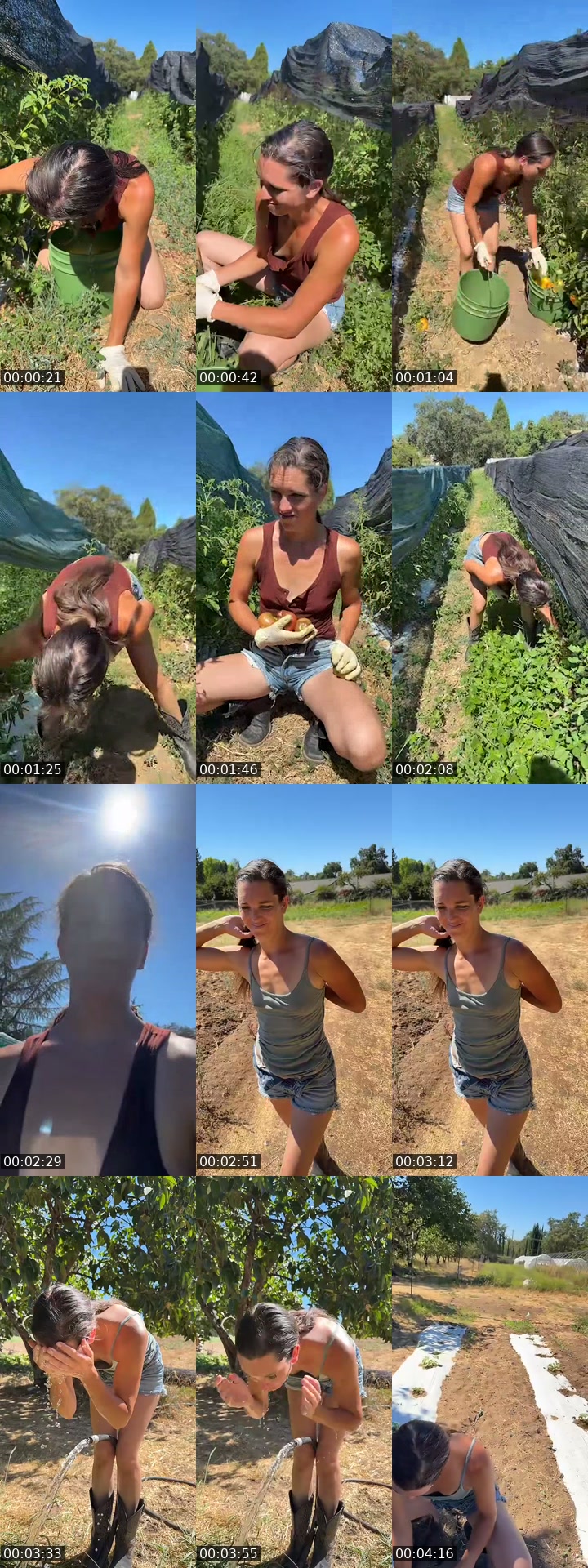 @thatfarmgirllaura TikTok live from 2026-07-14