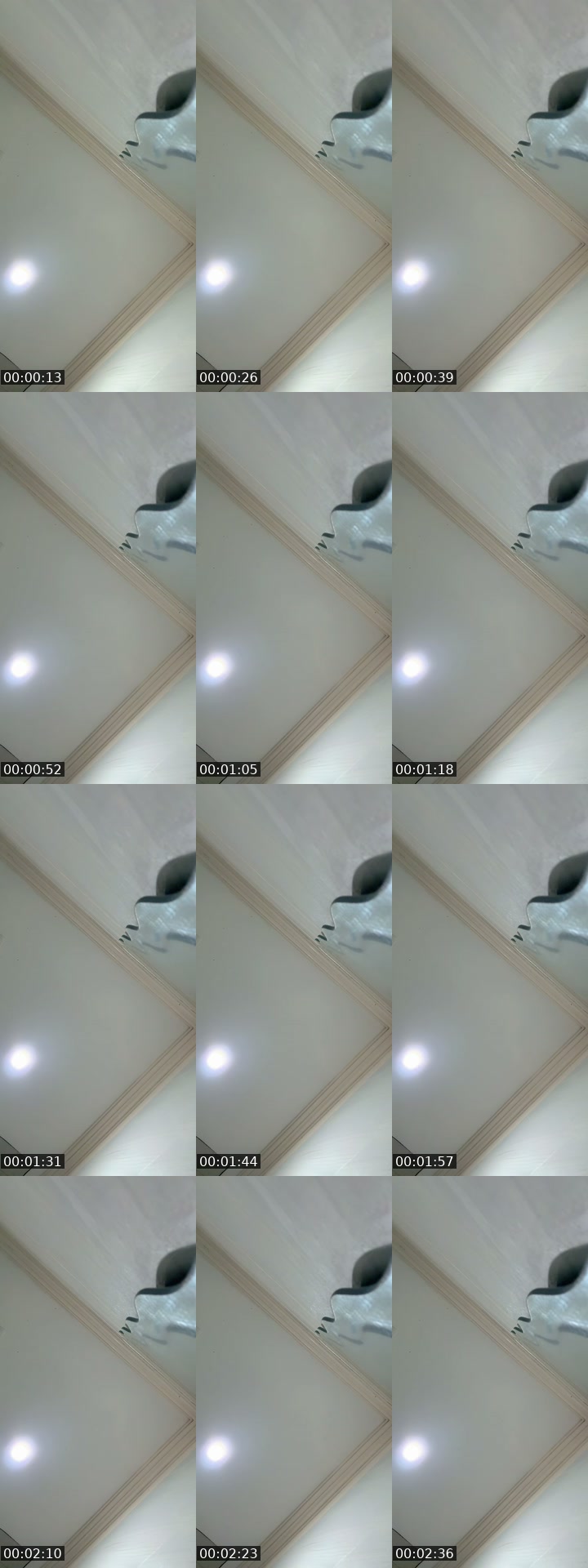 @dedette88 TikTok live from 2026-07-14