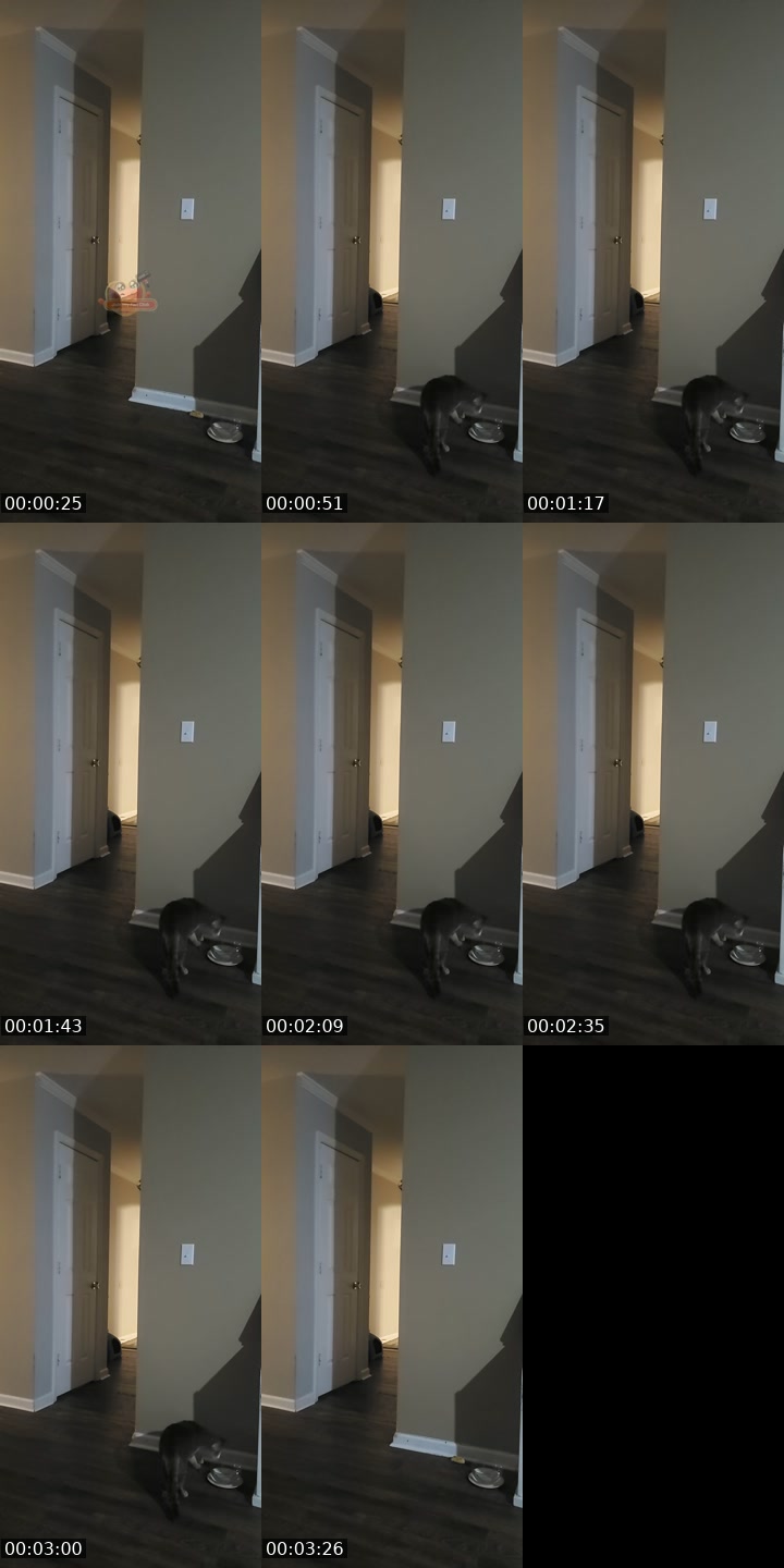 TikTok live: basement door watch by @authorkyleanthony