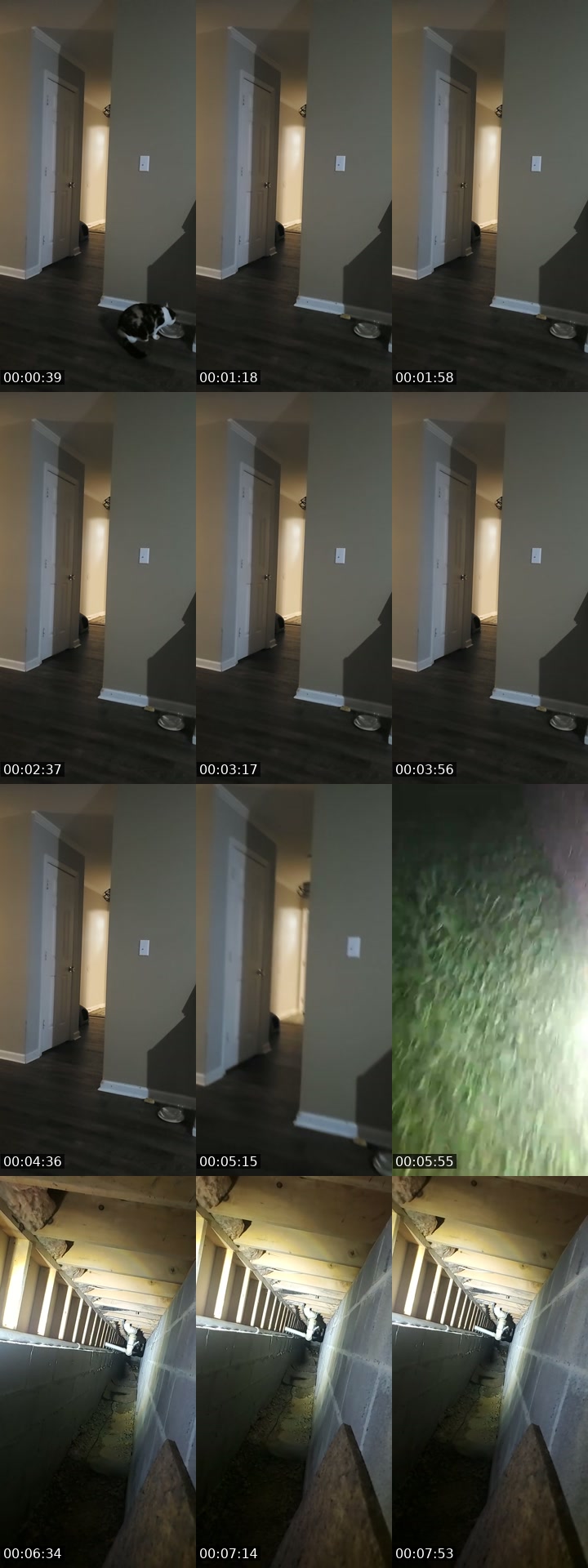 TikTok live: basement door watch by @authorkyleanthony