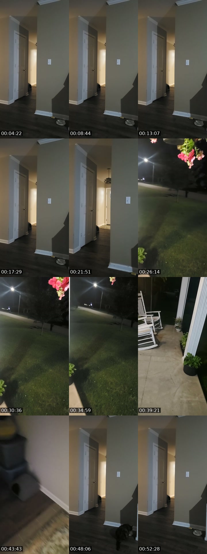 TikTok live: basement door watch by @authorkyleanthony