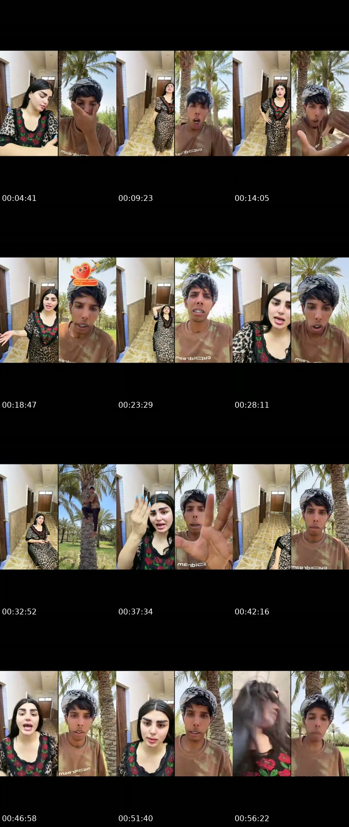 TikTok live: يارب 🩵🐋 by @n1b1j