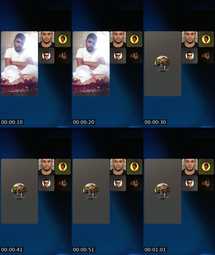 @megdail2 TikTok live from 2026-07-14