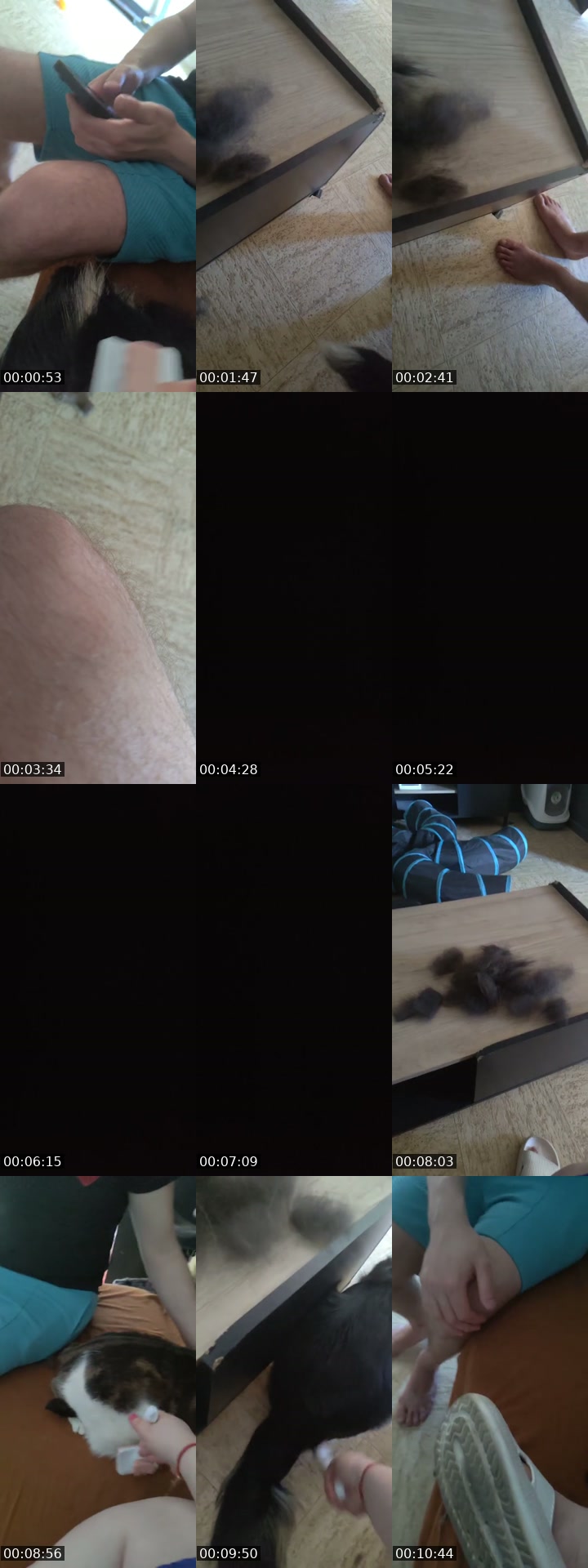 TikTok live: bienveillance chil by @lanature1820