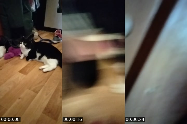@leoperdochka TikTok live from 2026-07-14