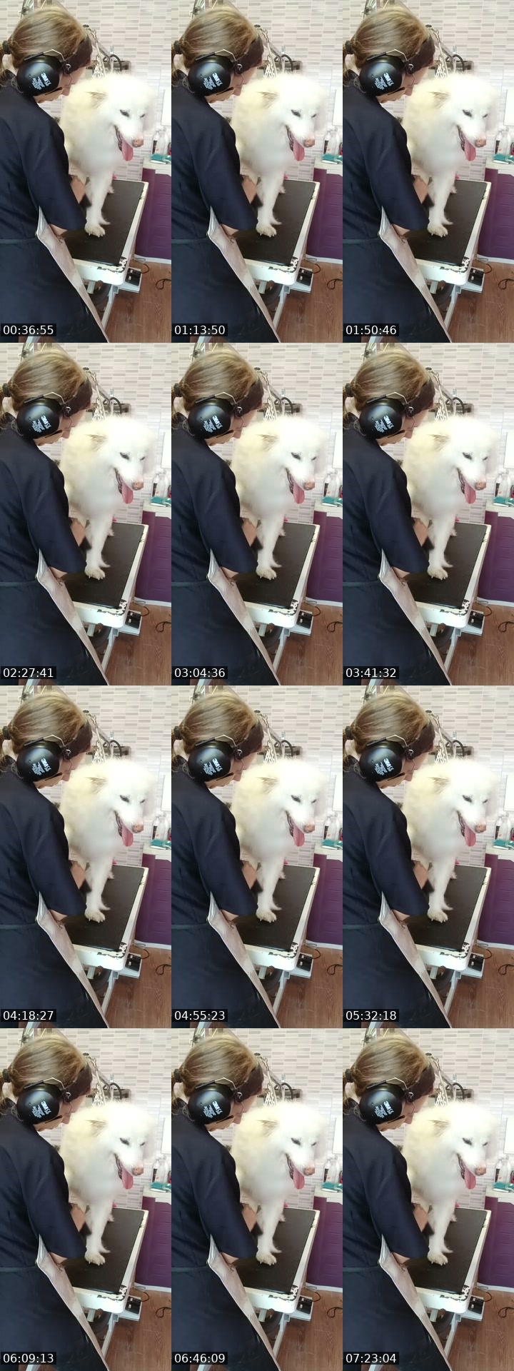TikTok live: Mañaneos Barbudogs by @barbudogs
