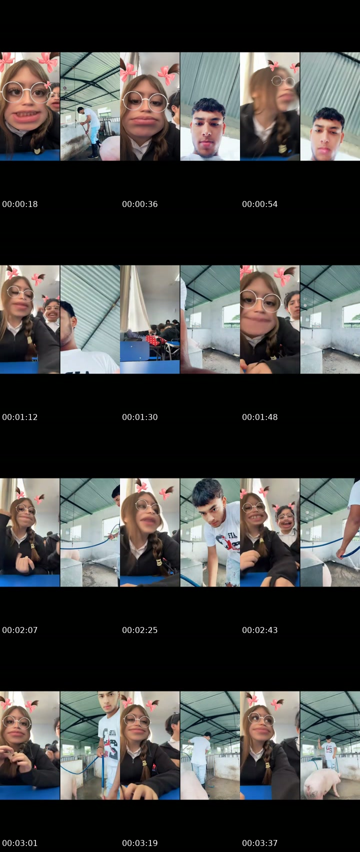 TikTok live: Put@s by @17.67.27