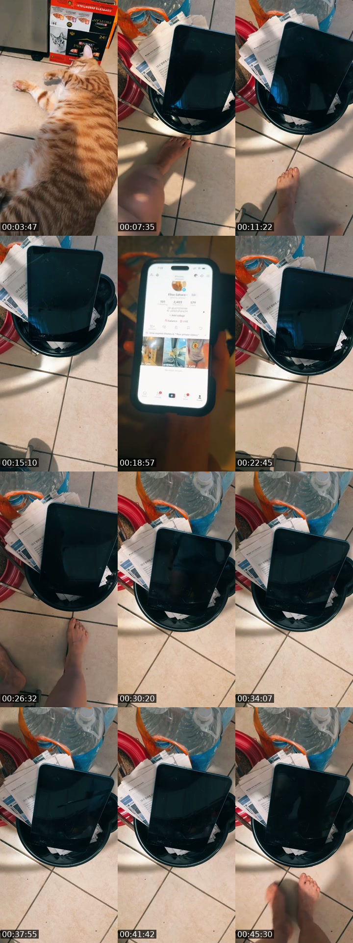 @taramania12 TikTok live from 2026-07-15