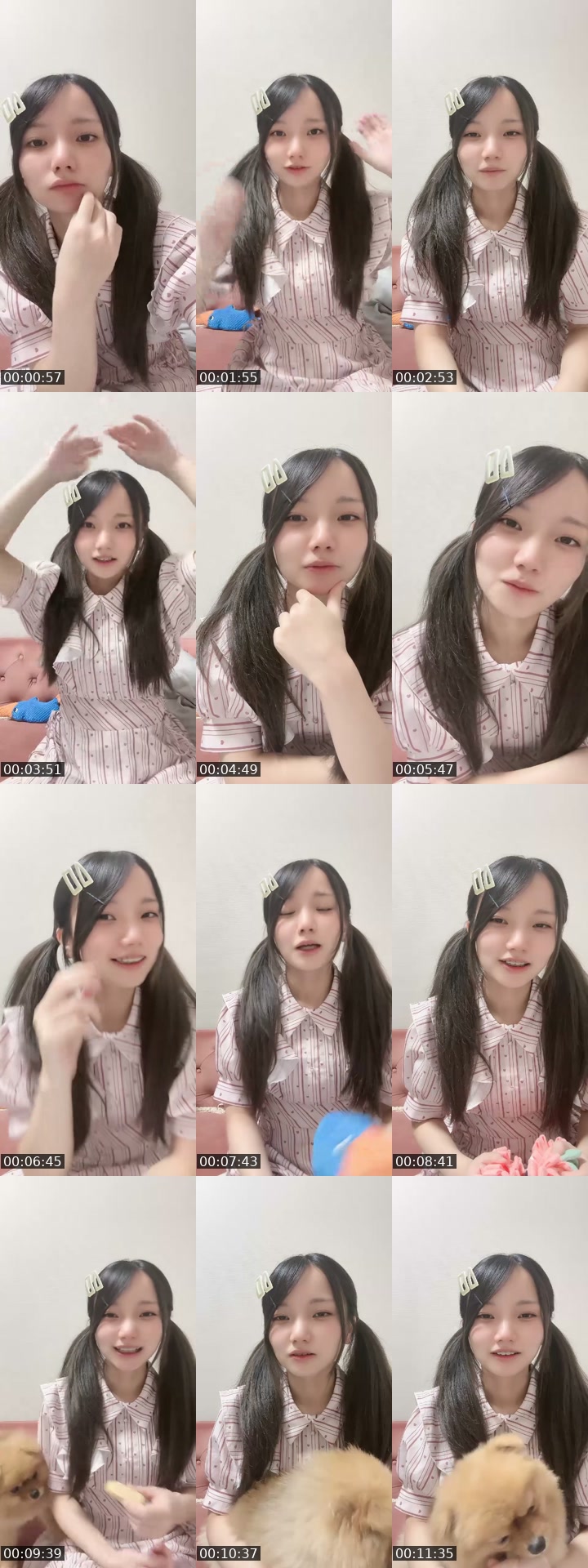 TikTok live: わんわん！ by @omochi00mochimochi