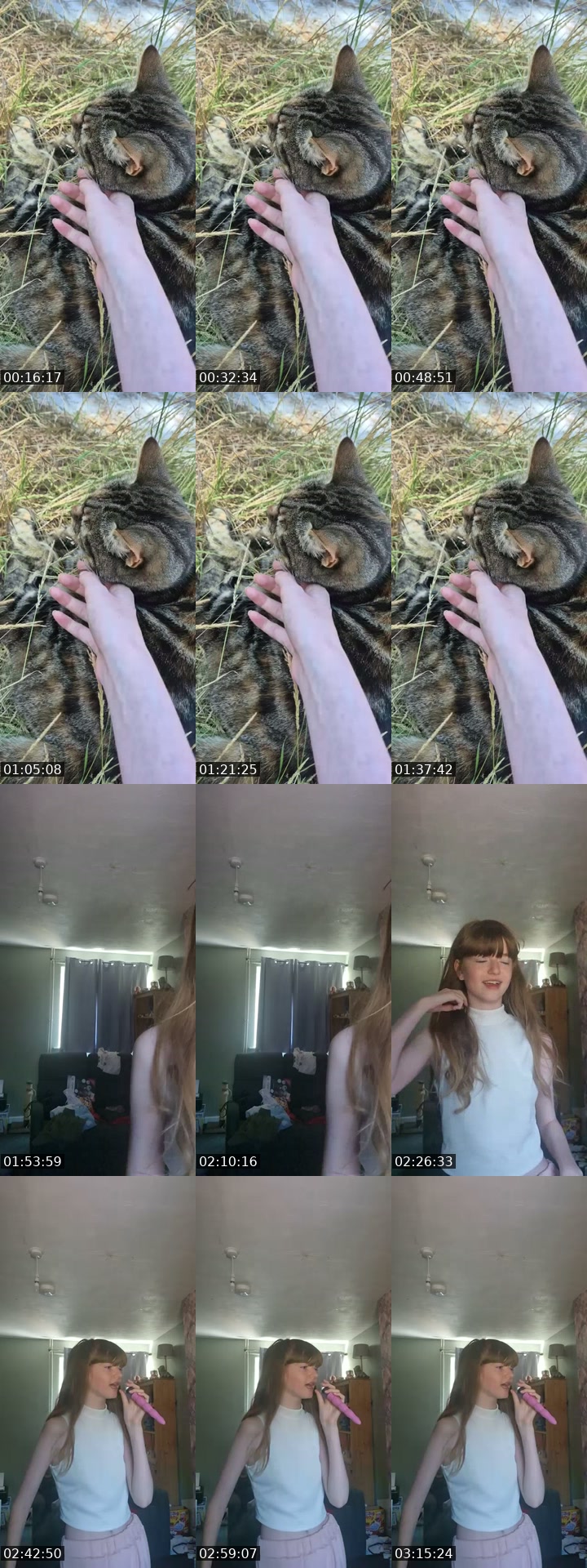 TikTok live: Hii by @amy_taylorsversion_13