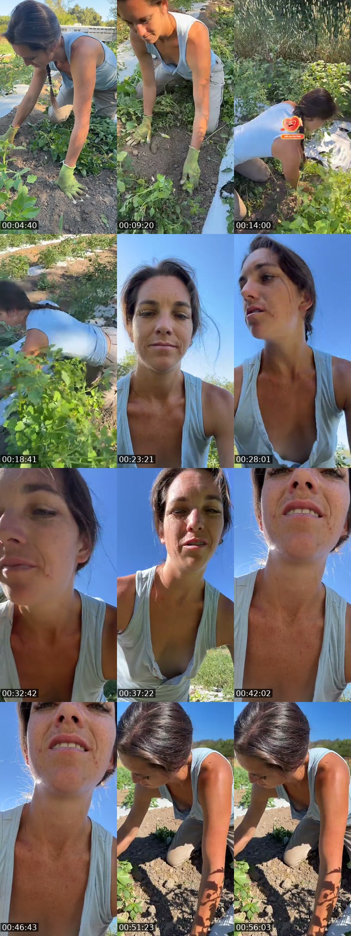 TikTok live: Join me for weeding on the farm by @thatfarmgirllaura