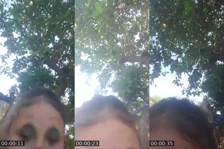 @crisleney1 TikTok live from 2026-07-16