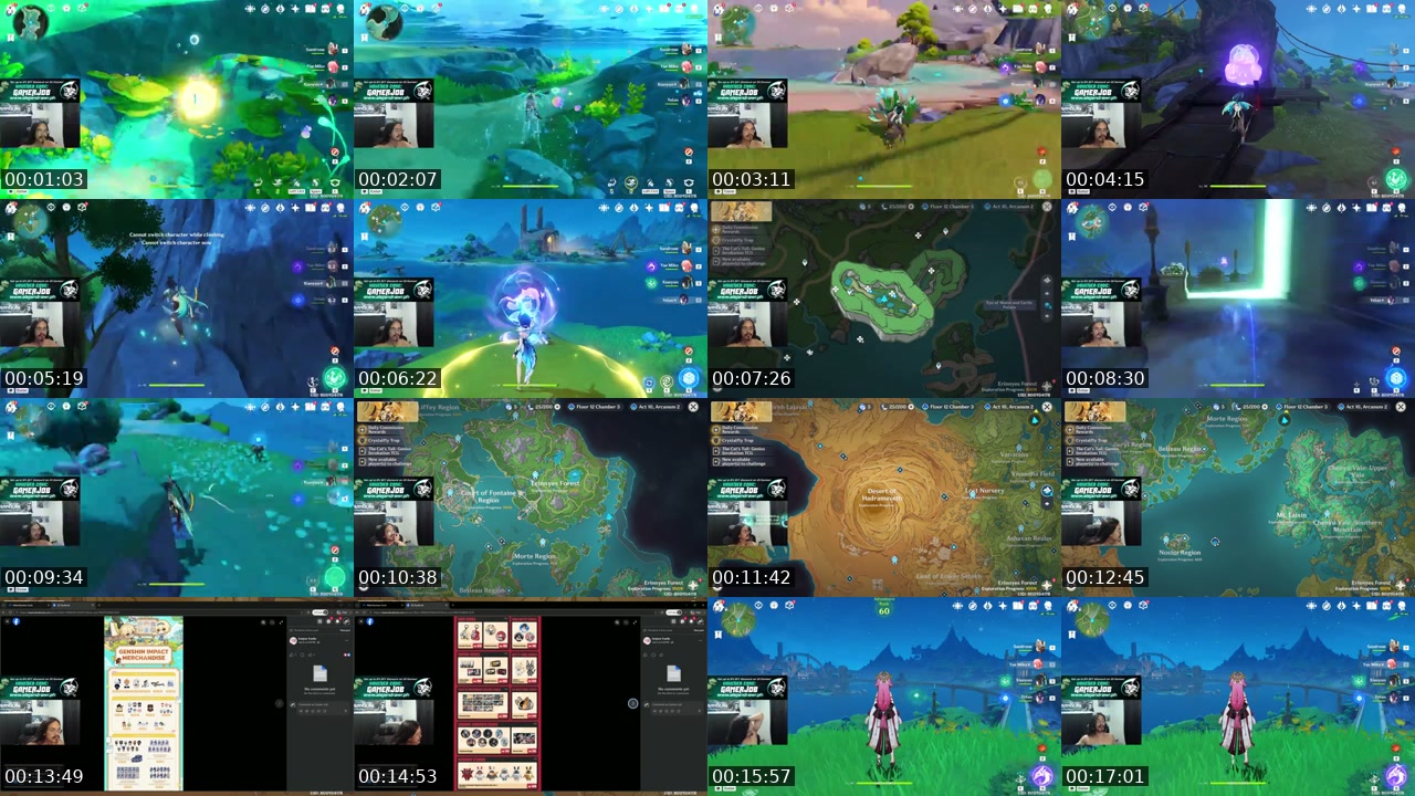 TikTok live: Speedrun LotPi by @gamerjob14