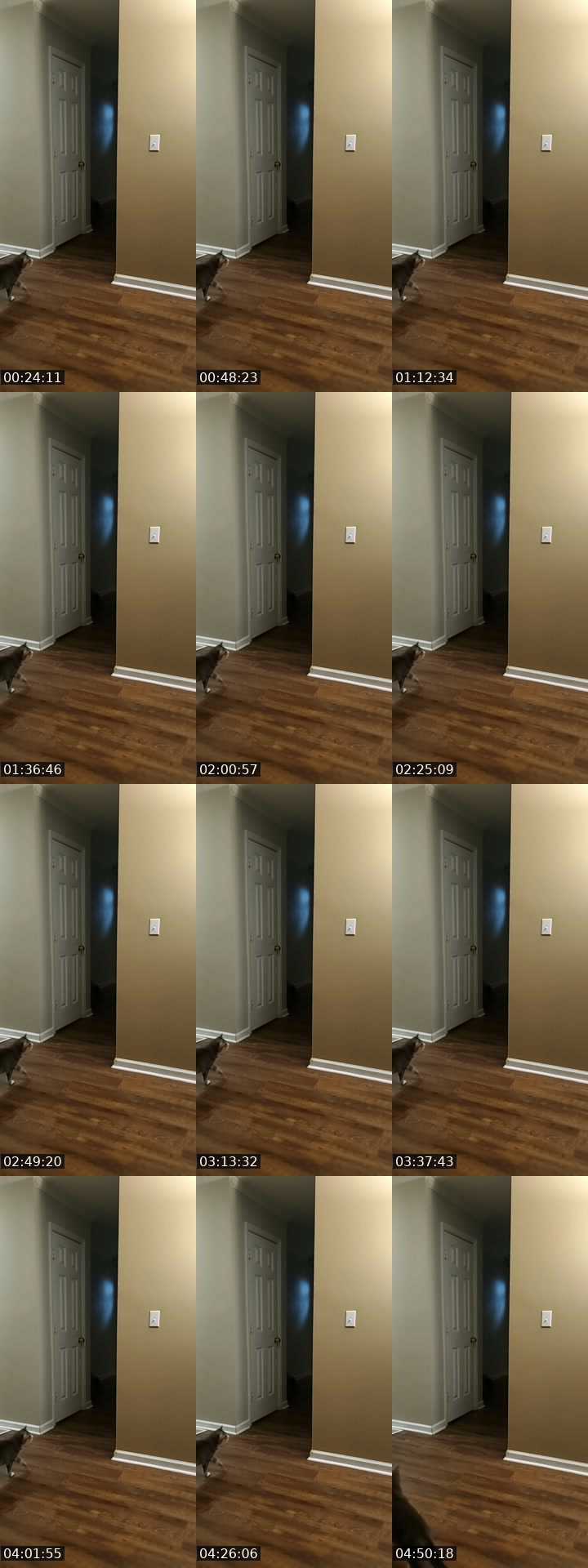 TikTok live: rattling basement door by @authorkyleanthony