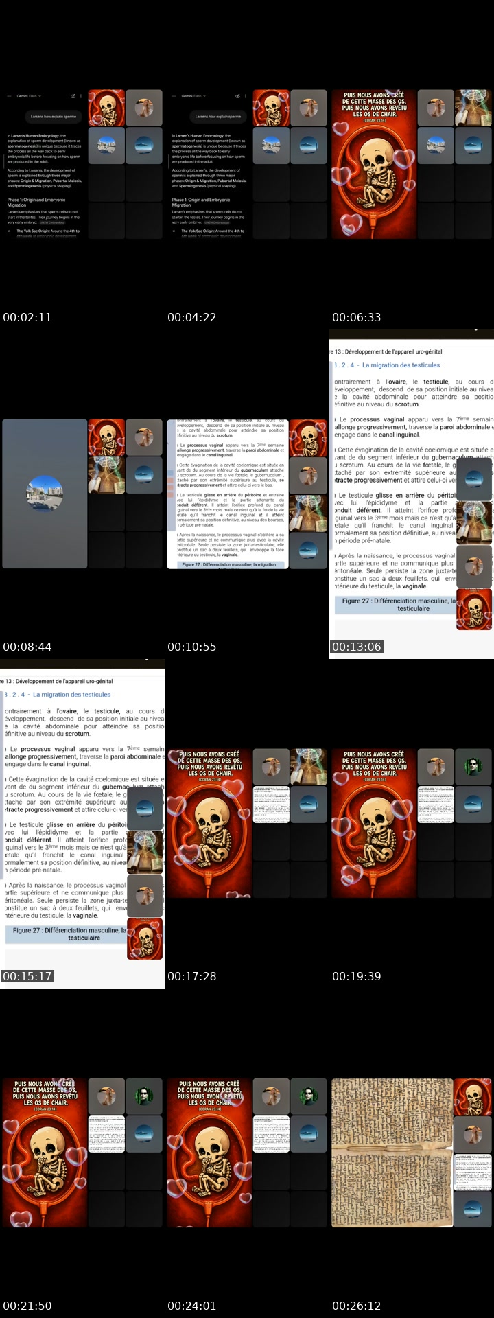 France TikTok live: Islam 24h/7j by @p0lariss7