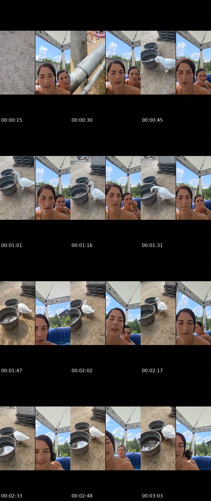 @extravagant.sophia TikTok live from 2026-07-16