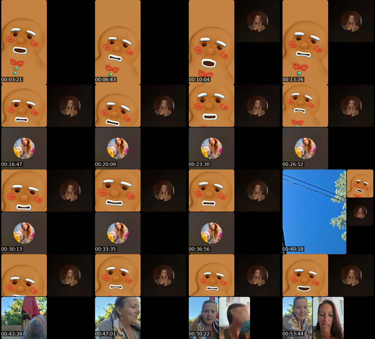 @daveqc1 TikTok live from 2026-07-16