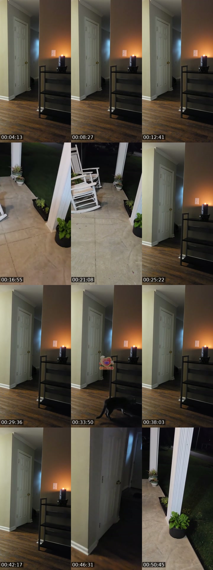 TikTok live: rattling basement door by @authorkyleanthony
