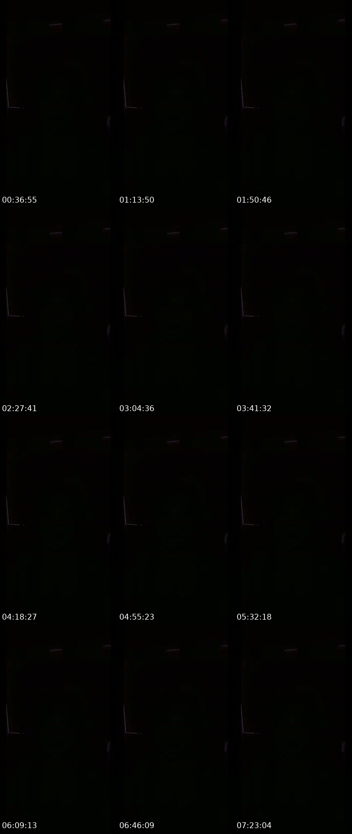 @sylviaxoxo__ TikTok live from 2026-07-17