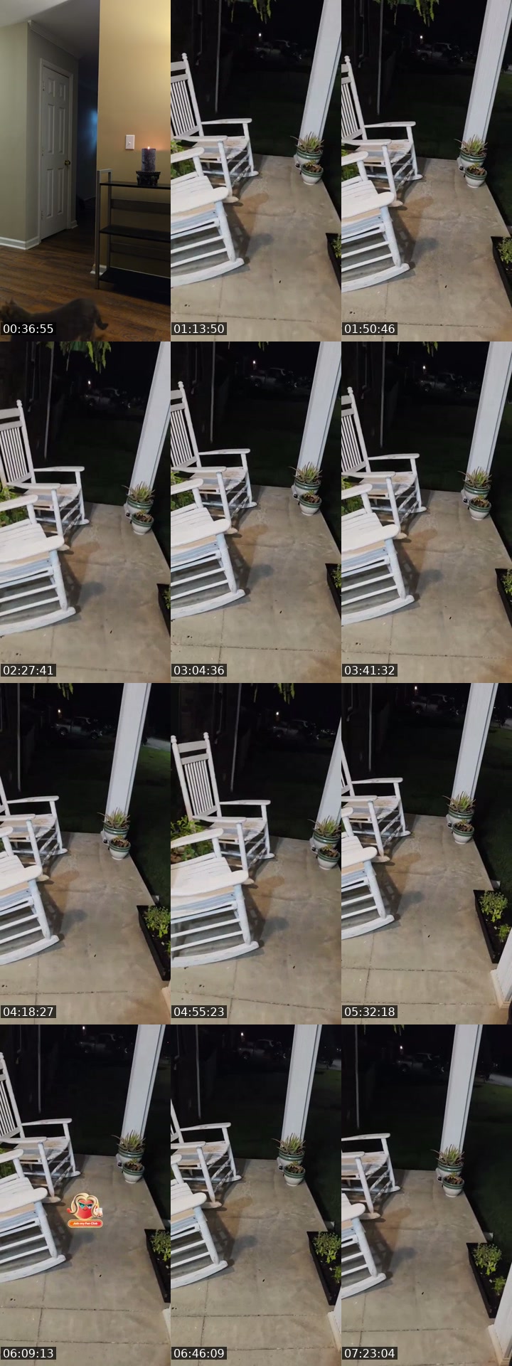 TikTok live: rattling basement door by @authorkyleanthony