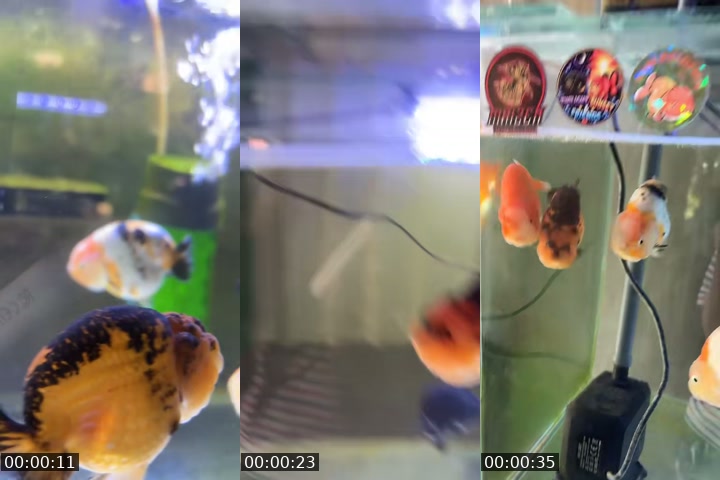 @cessss046 TikTok live from 2026-07-18