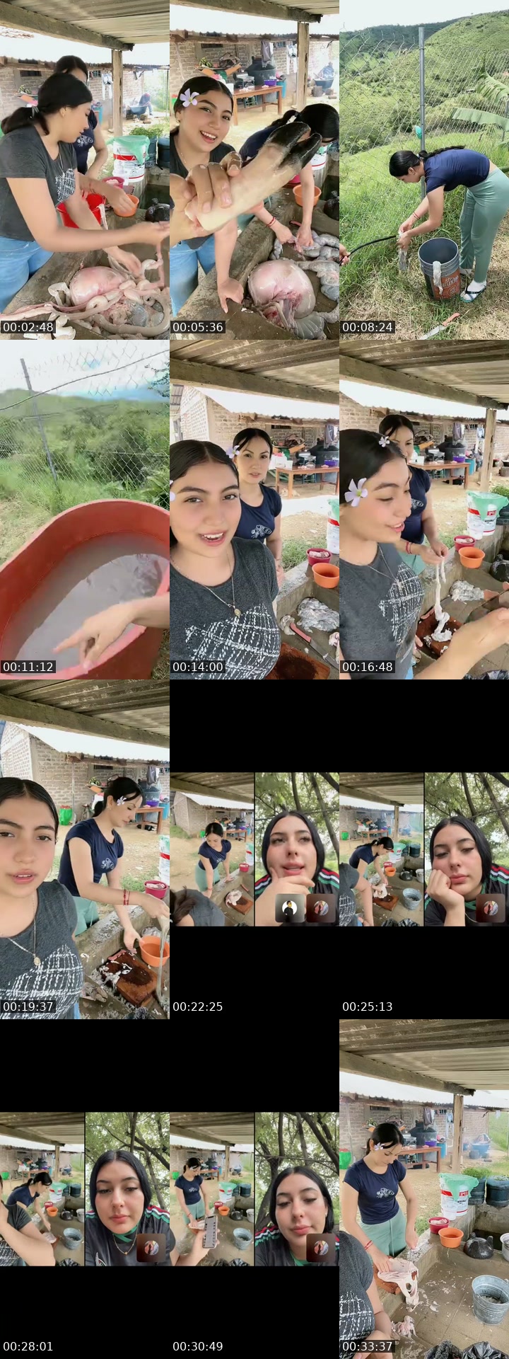 TikTok live: Tripas by @maria_reyna37
