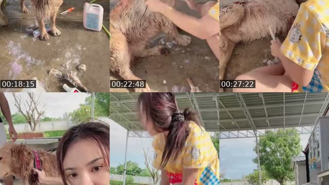 @thaibeautynbbyfah TikTok live