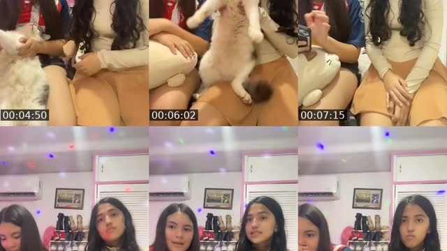 TikTok live: Stalkeamos al quien quieras by @dayya.00