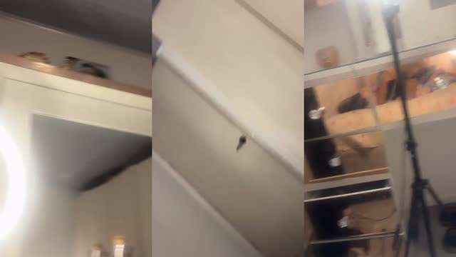 Maquillándonos para el colegio - @sofigrandah