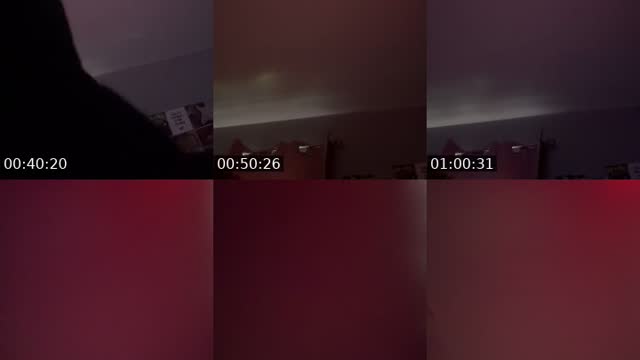 @theleiyna TikTok live from 2026-08-12