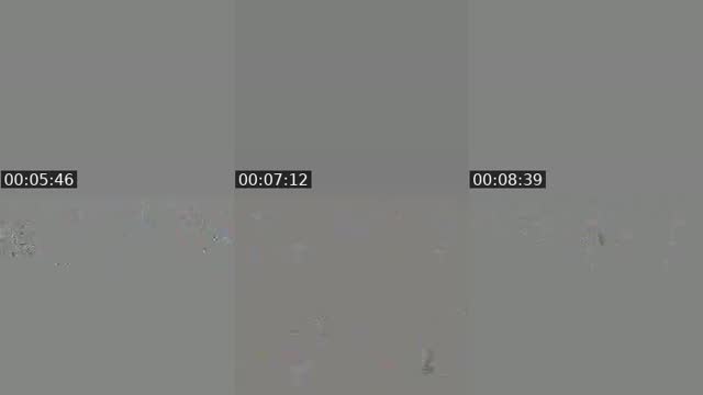 @barbonceja01 TikTok live from 2026-08-12