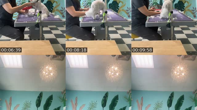 TikTok live: Work Load!!!! by @olderisbetter4u