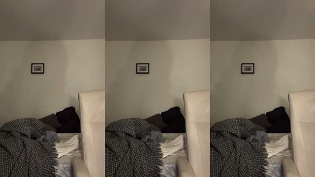 @ay.alien2 TikTok live from 2026-08-12