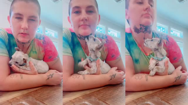 TikTok live: Louisiana check by @maddybetheone
