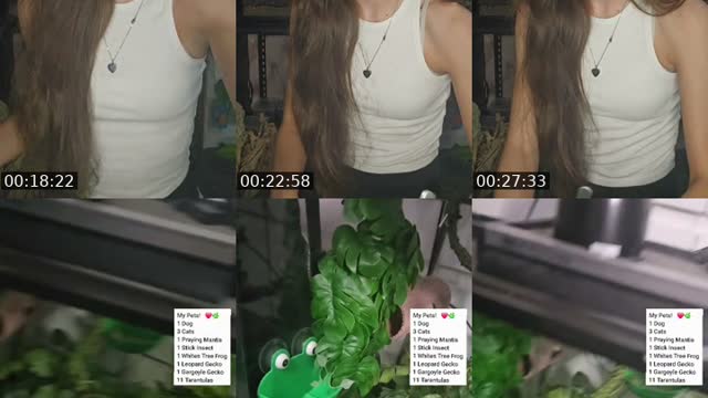 TikTok live: WARNING EXOTIC PETS-(I'm 19) by @skys.animal.zoo