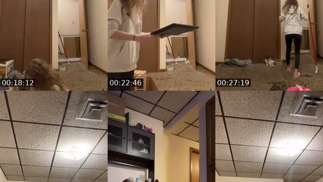 TikTok live: ✨ by @urailee