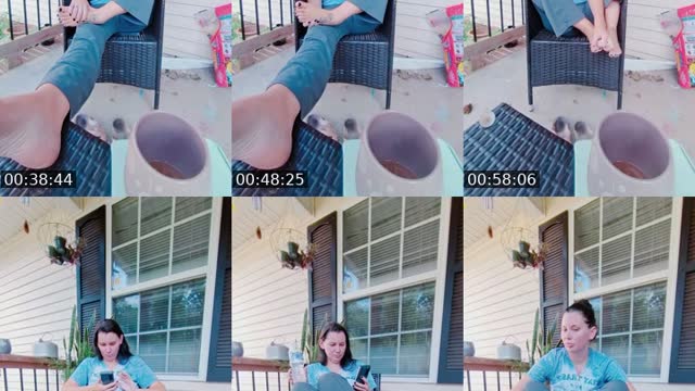 @therealbeestinger TikTok live from 2026-08-13