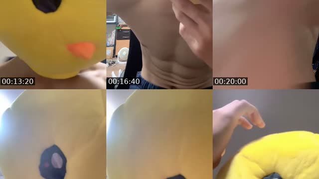 TikTok live: お話しぴよ by @appleuser34329425