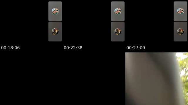 @give.me.sugar8 TikTok live from 2026-08-13
