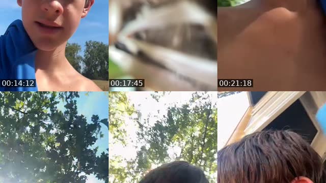 @danny.wright486 TikTok live from 2026-08-14