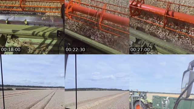 TikTok live: harvesting wheat by @farmerhedley