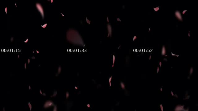 @christine.669 TikTok live
