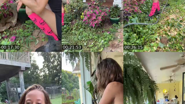 @bsgardening TikTok live from 2026-08-14