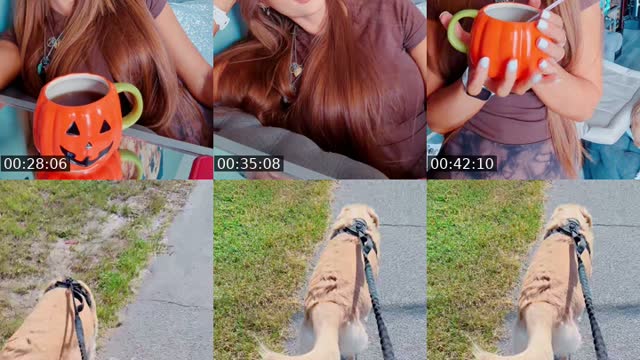 TikTok live: Today’s FaceTime call 📞📱🌊🐕🐕🍀🏝️ by @amjo9124