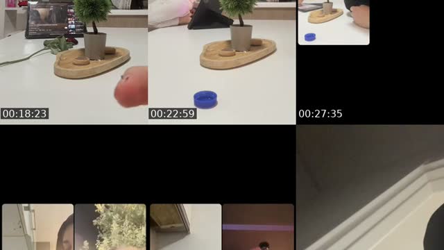 TikTok live: تعالو شتغلو by @dalaa911