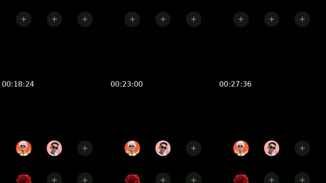 @dorothysmissingdand TikTok live from 2026-08-13