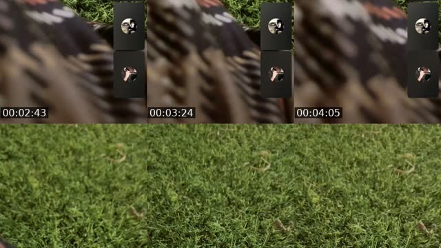 @2ggpy TikTok live from 2026-08-13
