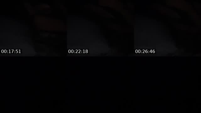 @anitaweed24 TikTok live from 2026-08-14